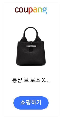 롱샴 르 로조 XS 핸드백 제품 이미지